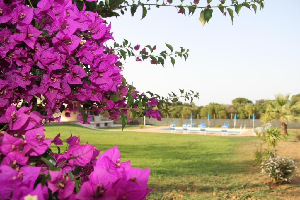 Agliado Villa Platamona Dış mekan fotoğraf
